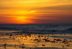 A sunset over the ocean with an orange sky. Birds are flying and standing on a sandy beach with scattered pebbles.