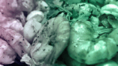 A close up of some vegetables on the table