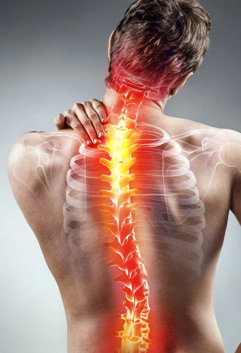 Chronic Inflammation: When Defense Lingers | Montrose Star